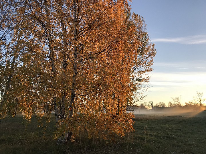 Sunnuntai klo 8.45