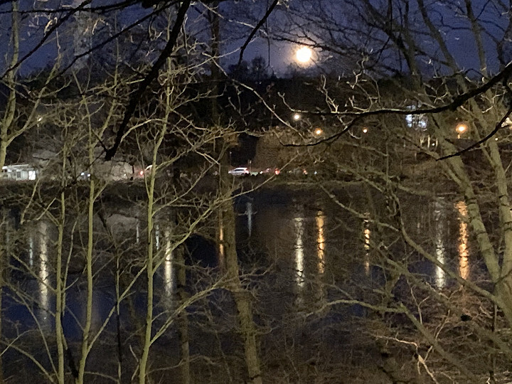 Töölönlahti