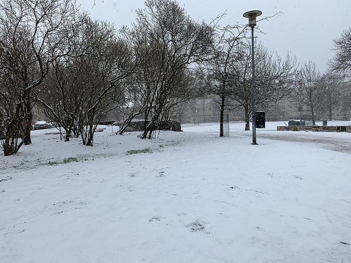 Hki, Torkkelinmäki 15.4.2020