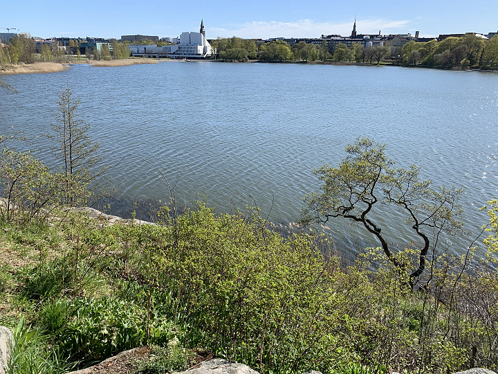 Hki, Töölönlahti