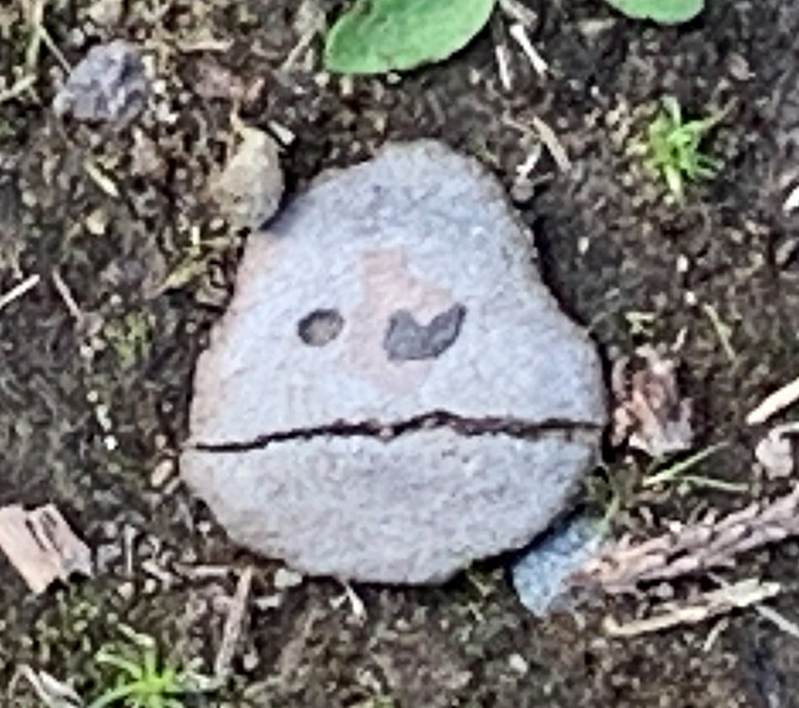 Ei järin hilpeä.