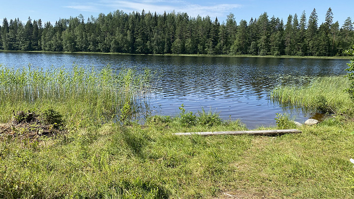 Virkistävää