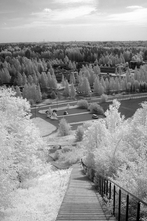 Malminkartanon mäki